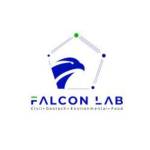 Falcon Industrial Testing Laboratory