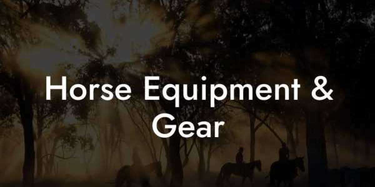 Essential Horse Equipment: Everything You Need for a Well-Equipped Stable