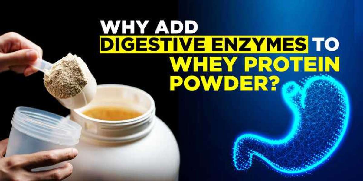 Why Add Digestive Enzymes To Whey Protein Powder?