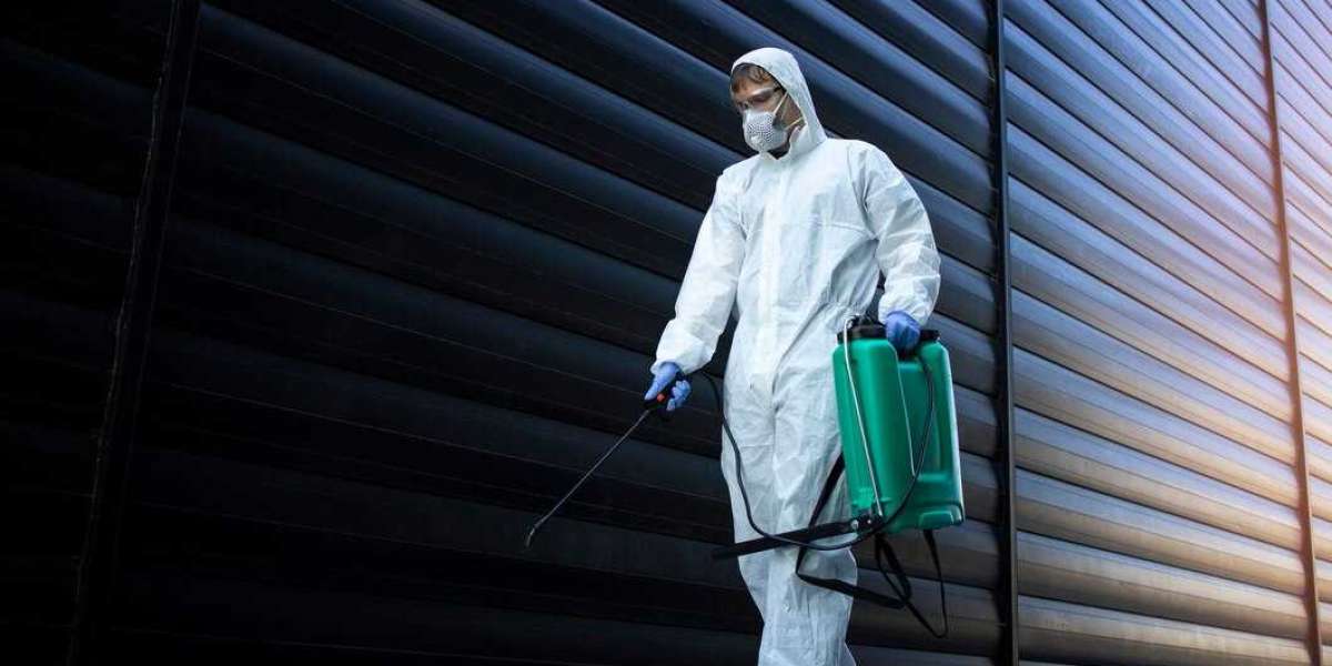 Fast & Efficient Pest Control in Conroe, TX – Get Protected Today