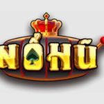 Nha cai nohu profile picture