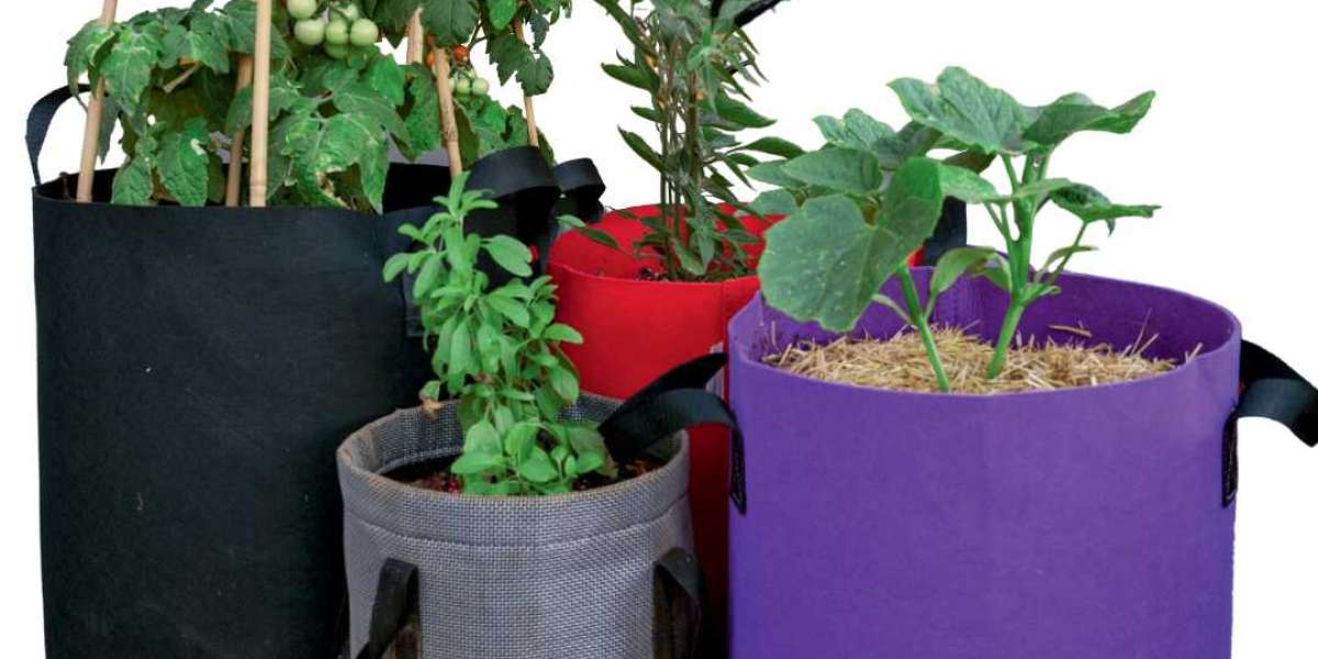 Durable Grow Bags: Smart Gardening for Thriving Plants