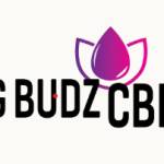 Big Budz CBD