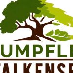 Baumpflege Falkensee profile picture