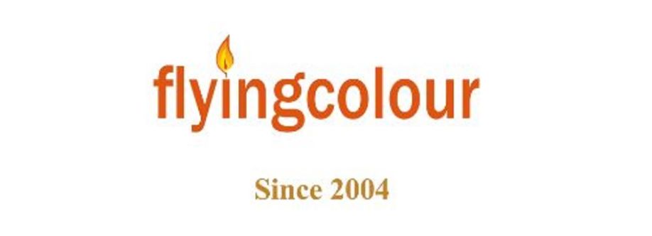 Flyingcolour Business Setup Services Cover Image