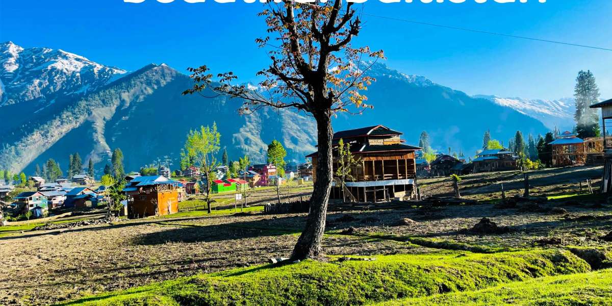 Unlock the Wonders of the North with Skardu Travel and Tour Company