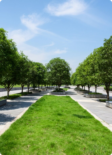 Professional Commercial Landscape Maintenance | Local Experts