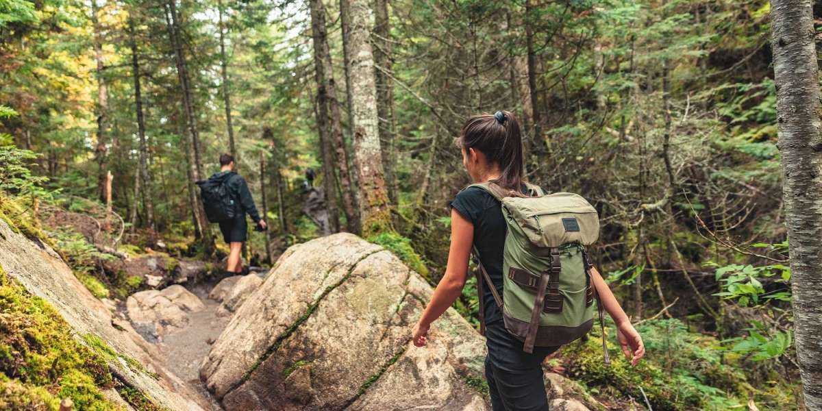 Hiking Trails You Have to See to Believe