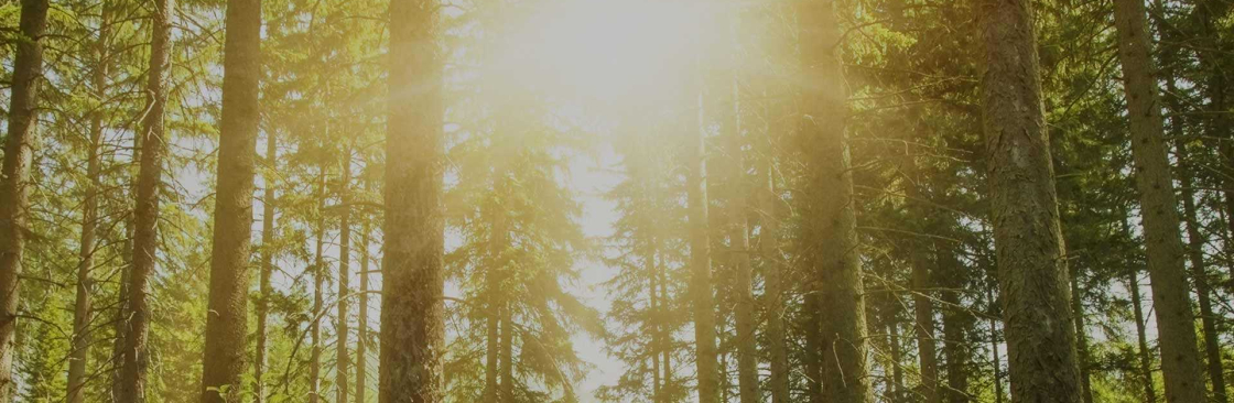 SoCal DBT Cover Image