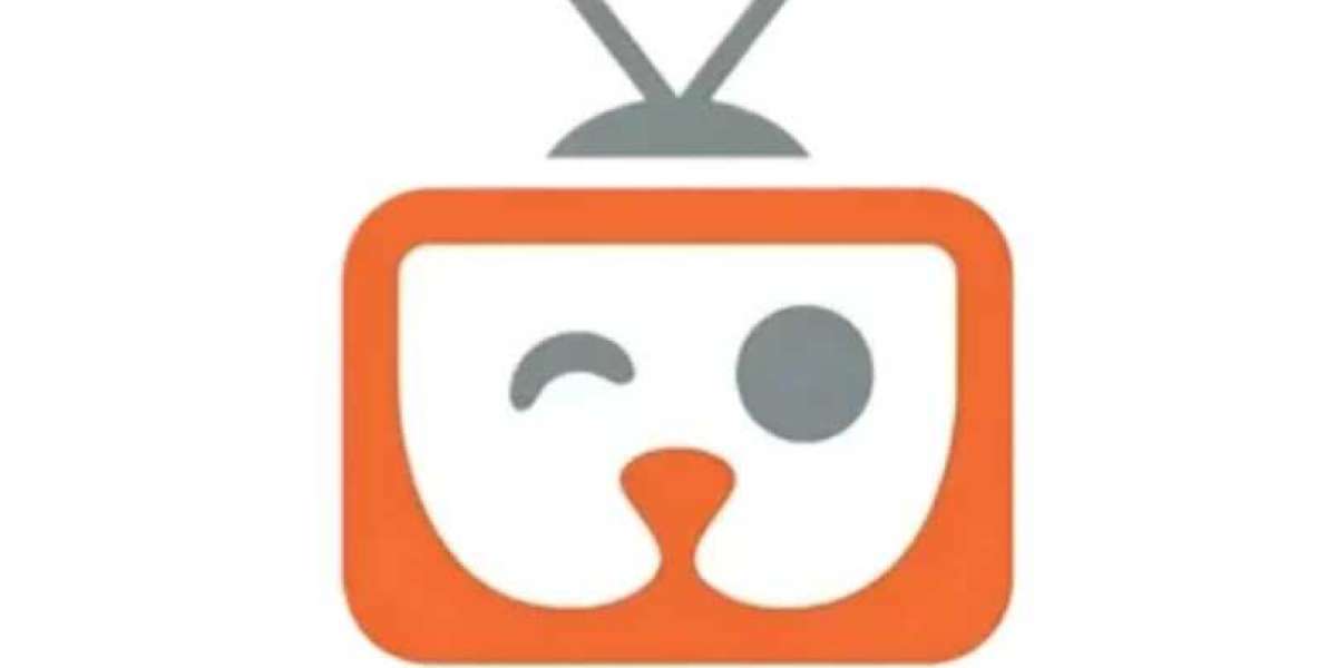 Top 10 Amazing Features of Inat Box APK You Need to Know