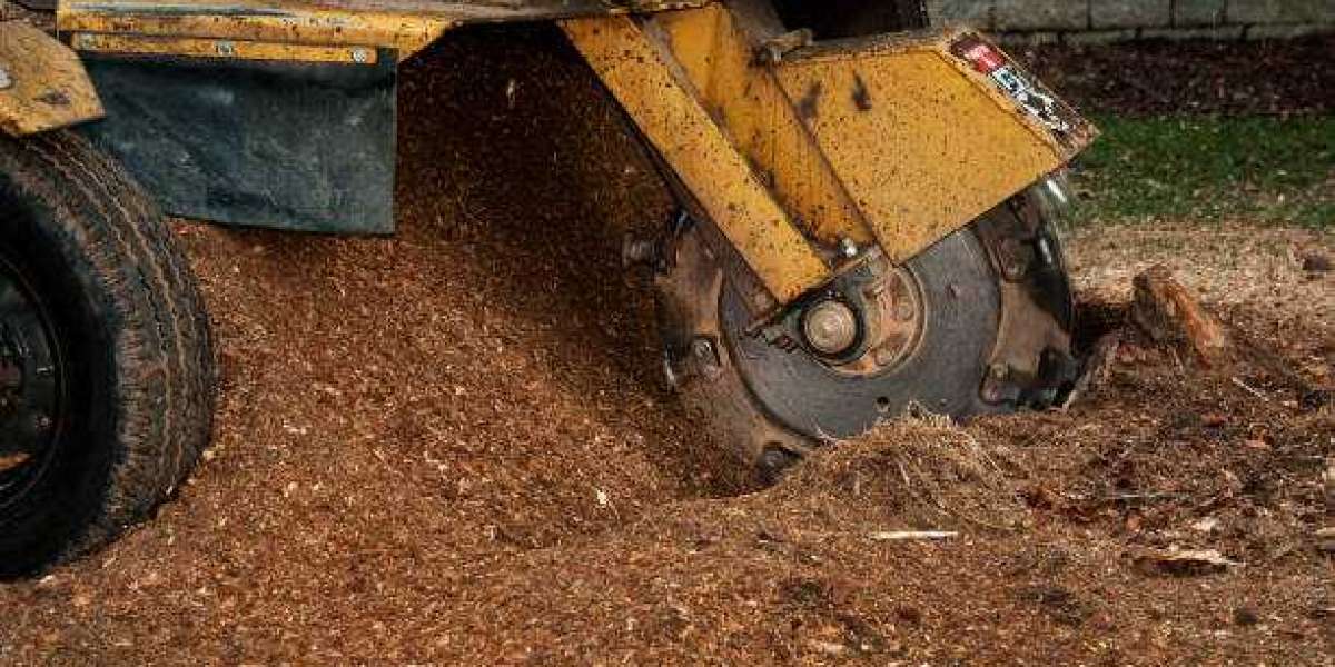 The Secret of Successful Tree Stump Grinding Services