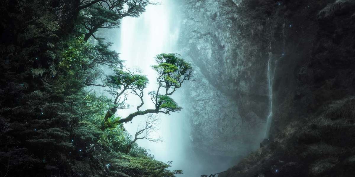 Enhance Your Photography Skills with Workshops and Lessons in Perth