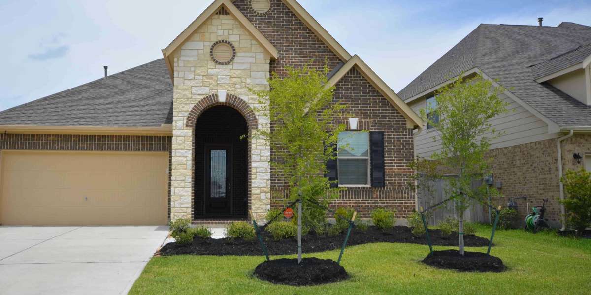 Transform Your Yard Today with the Best Round Rock Lawn Service