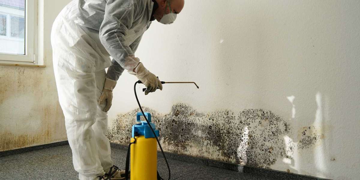 Restore Your Home Quickly with Expert Water Damage Services