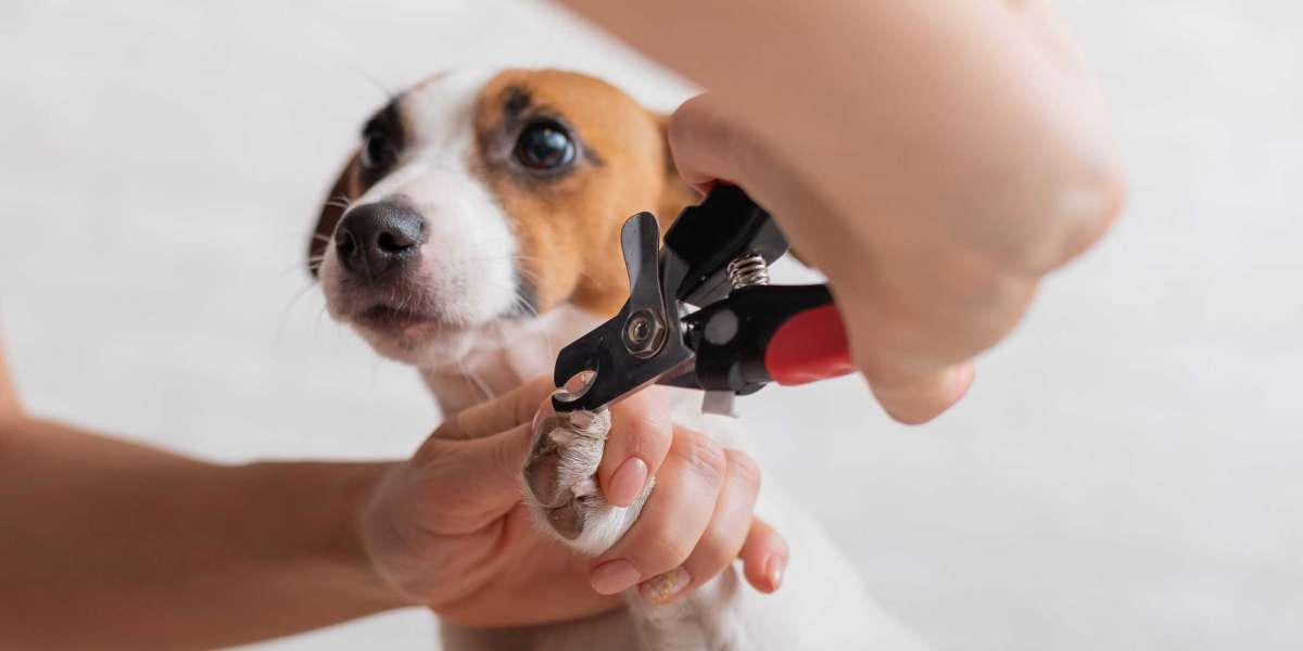 Pampered Pups on Wheels: Discover the Luxury of Mobile Dog Grooming