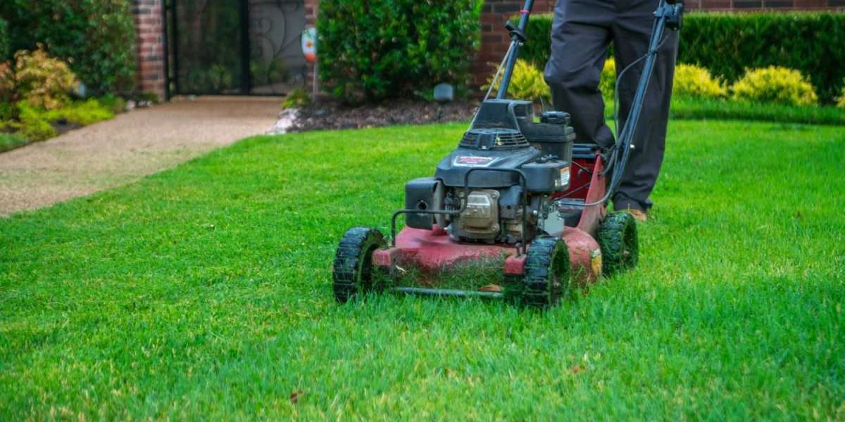 How to Achieve a Healthy Lawn in Denton and Leander