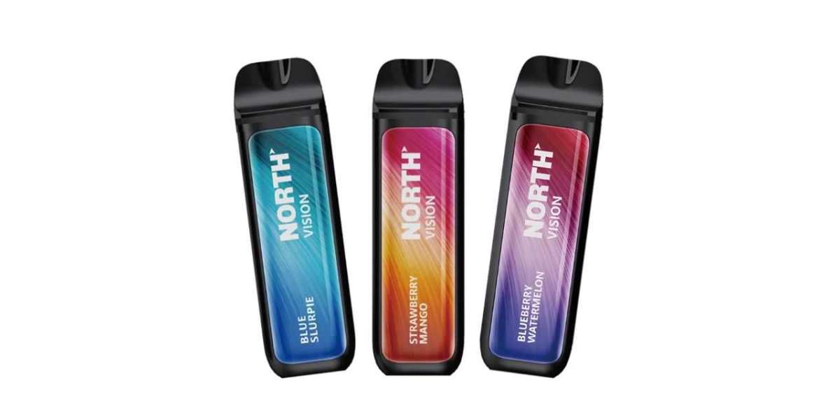 Top Flavors to Try with the North Vision Vape This Year