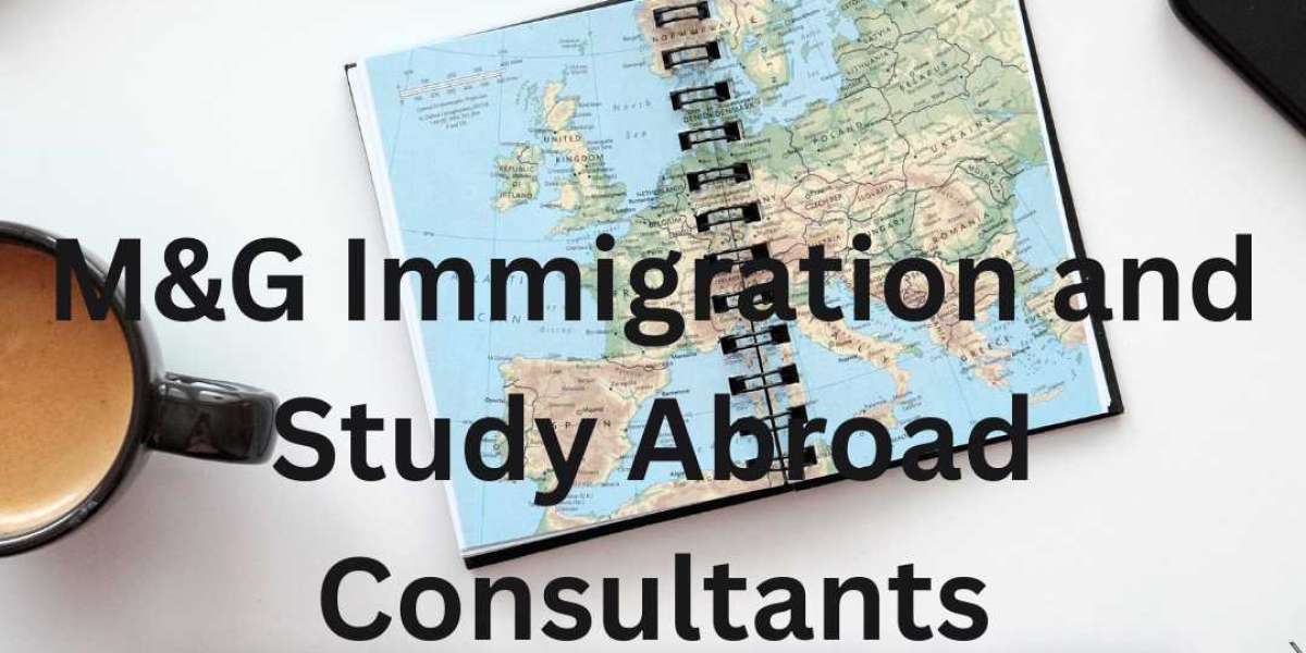 Achieve Your Global Education Goals with the Best Study Abroad Consultants in Calicut