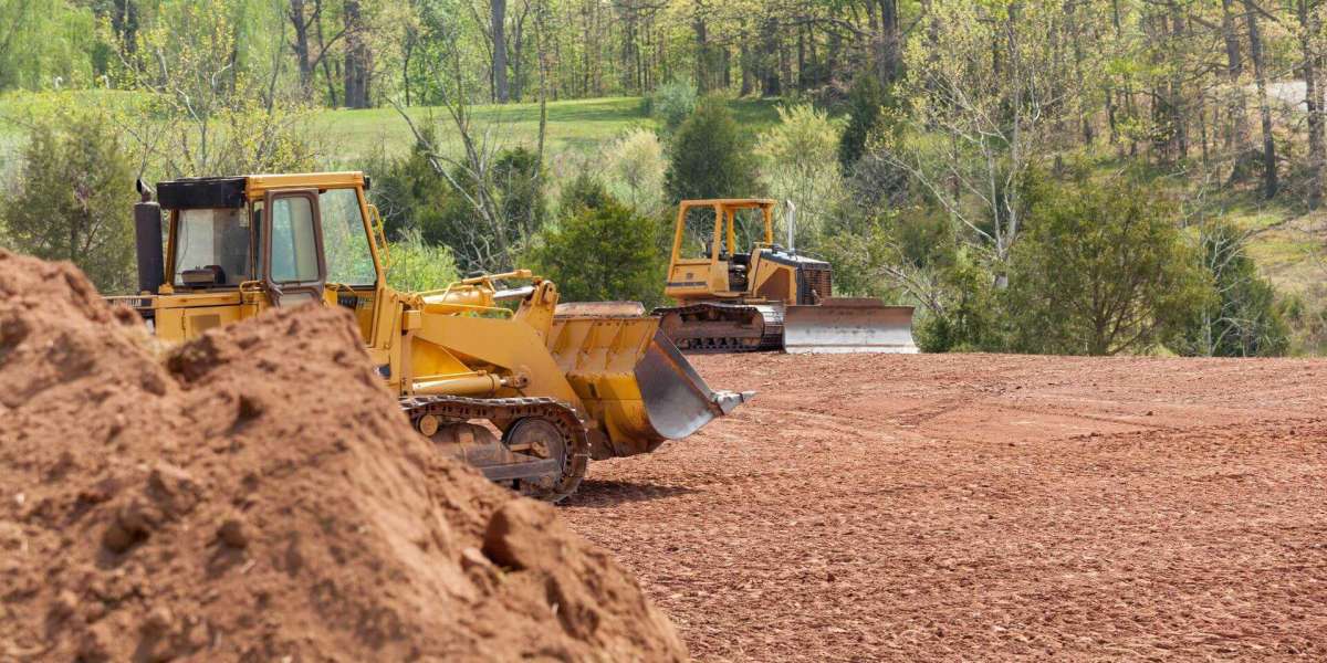 Transform Your Outdoor Space: How Professional Landscaping Services and Maintenance Add Lasting Beauty and Value