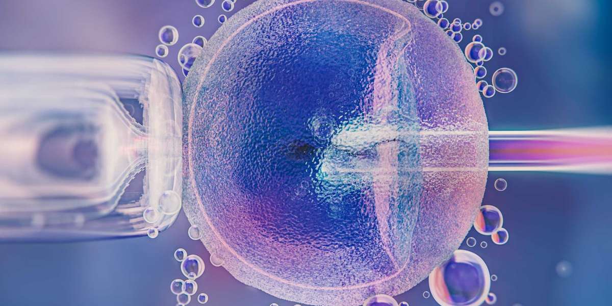 Understanding Different IVF Treatment Options in India