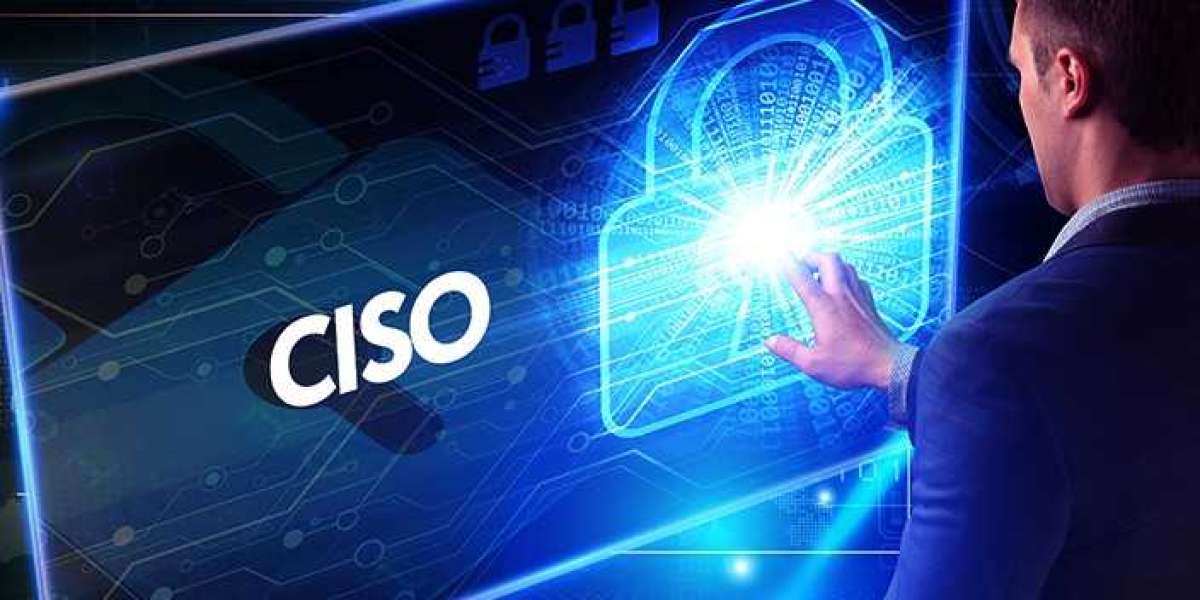 Virtual CISO