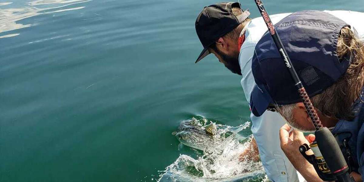 Gaspésie’s Striped Bass: An Angler’s Ultimate Catch