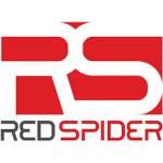 RedSpider Web Art Design