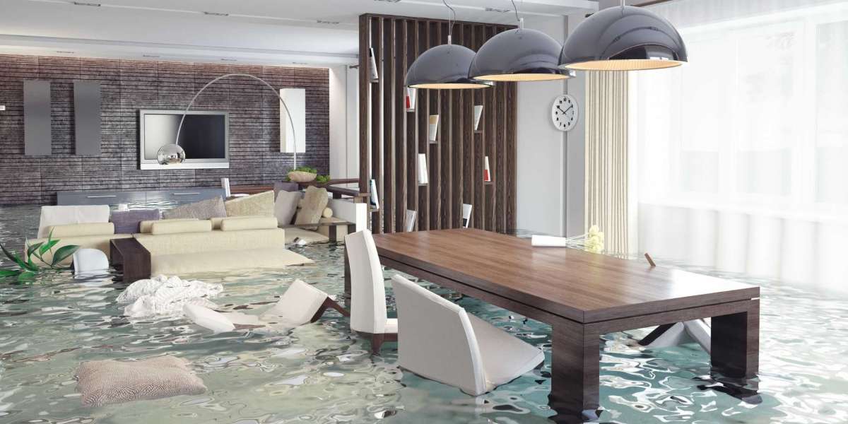 When Should You Call a Professional for Water Damage Repair?