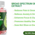 Bliss HarmonyCBD