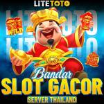 toto lite