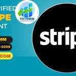 Buy Stripe Accounts with Payment Gateway Access