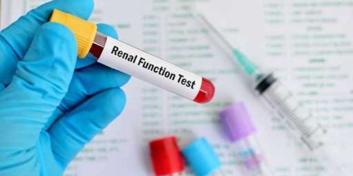 Renal Function Test (RFT): Purpose and Procedure Explained