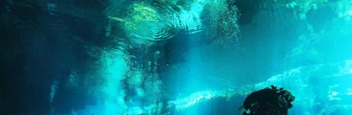 Petro Divers Cover Image