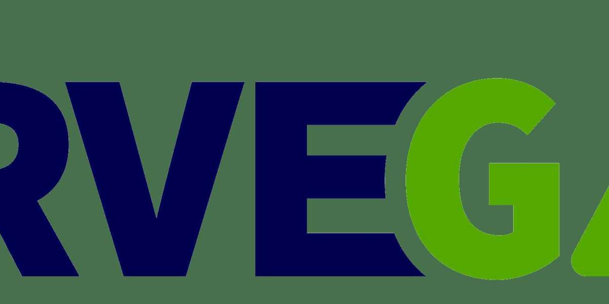 Servegas: Experts in Instrument Transformers Testing & Maintenance Activities