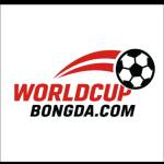 worldcup bongda