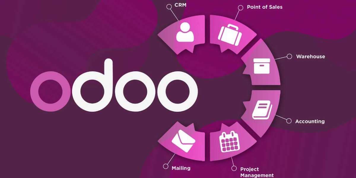What Makes Odoo ERP Software in UAE the Right Choice for Gulf Businesses?