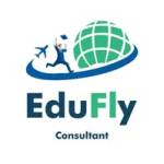 eduflyconsultant