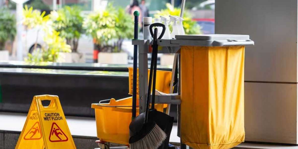 Elite Cleaners Orlando: Where Cleanliness Meets Excellence