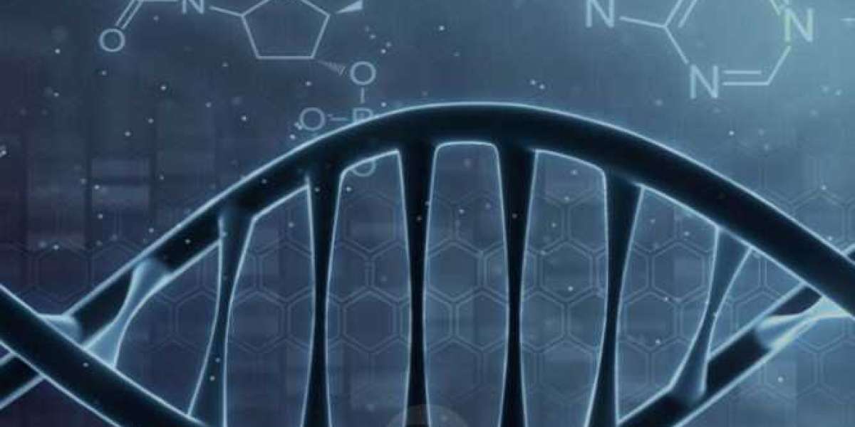 Amino Acids: The Building Blocks of Life