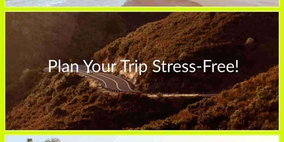 How to Organize Group Travel with Delta Airlines