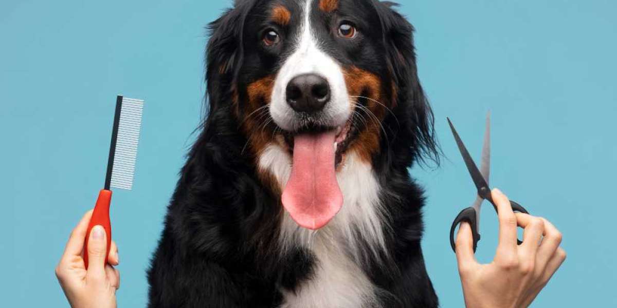 Dog Grooming That Feels Like Home in West Palm Beach