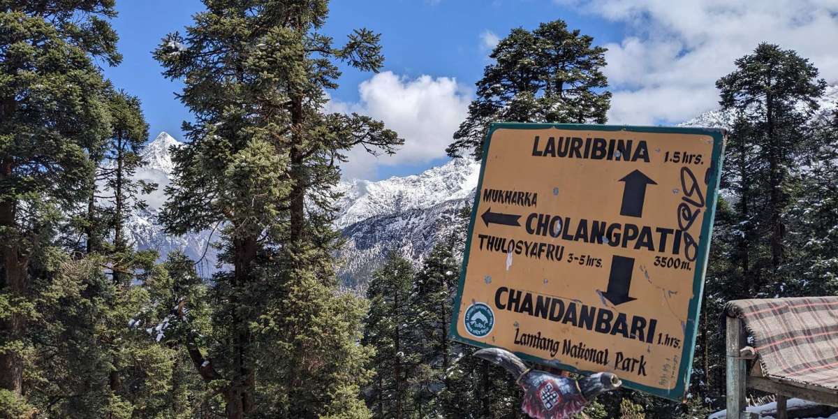 Manaslu Region Trek vs Everest Three Passes Trek