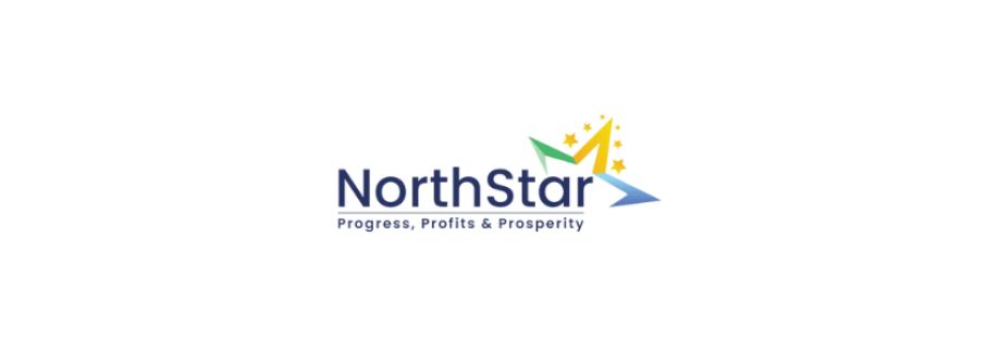 North Star Global Cover Image