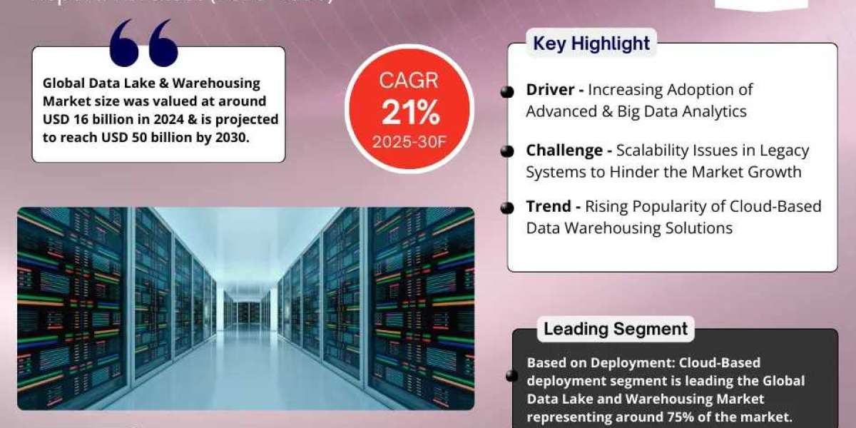 Global Data Lake & Warehousing Market Comprehensive Analysis and Forecast 2025 to 2030