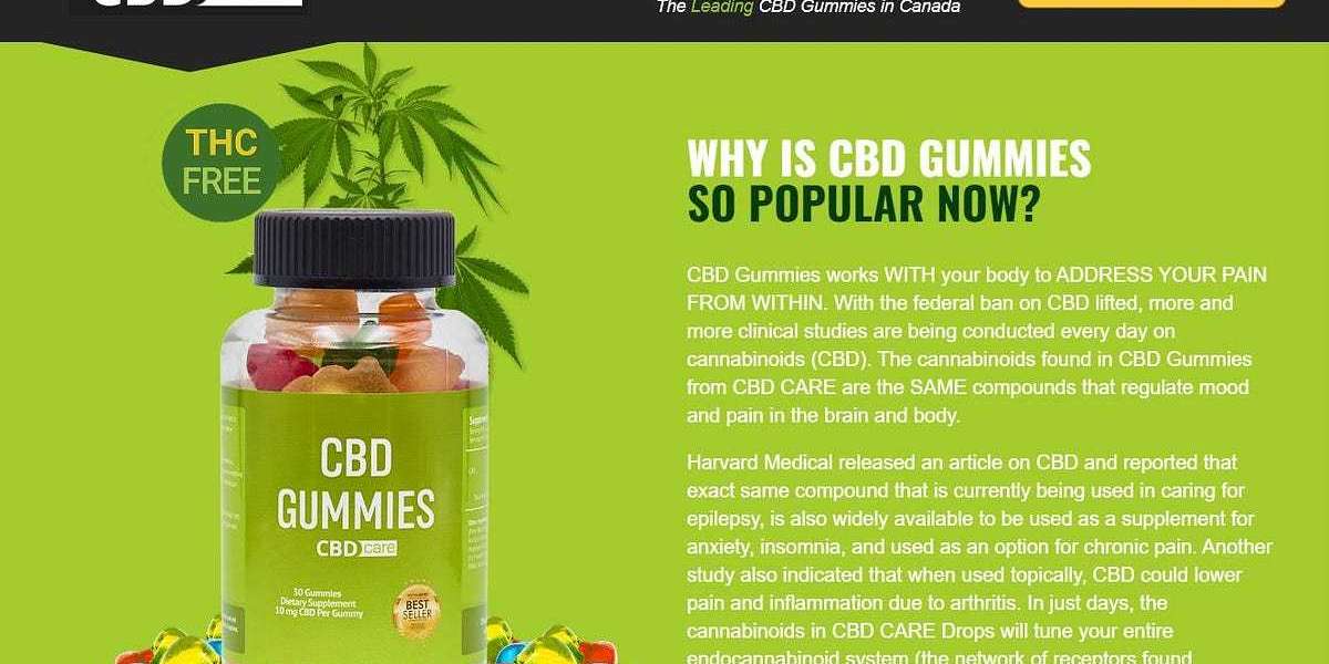 Scion Organics Hemp Gummies: #1 Natural Relief Option?