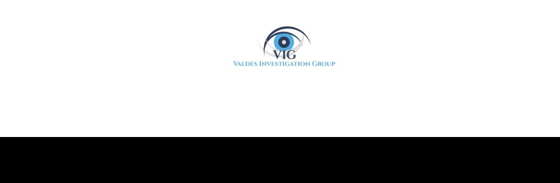 Valdes Investigation Group Cover Image