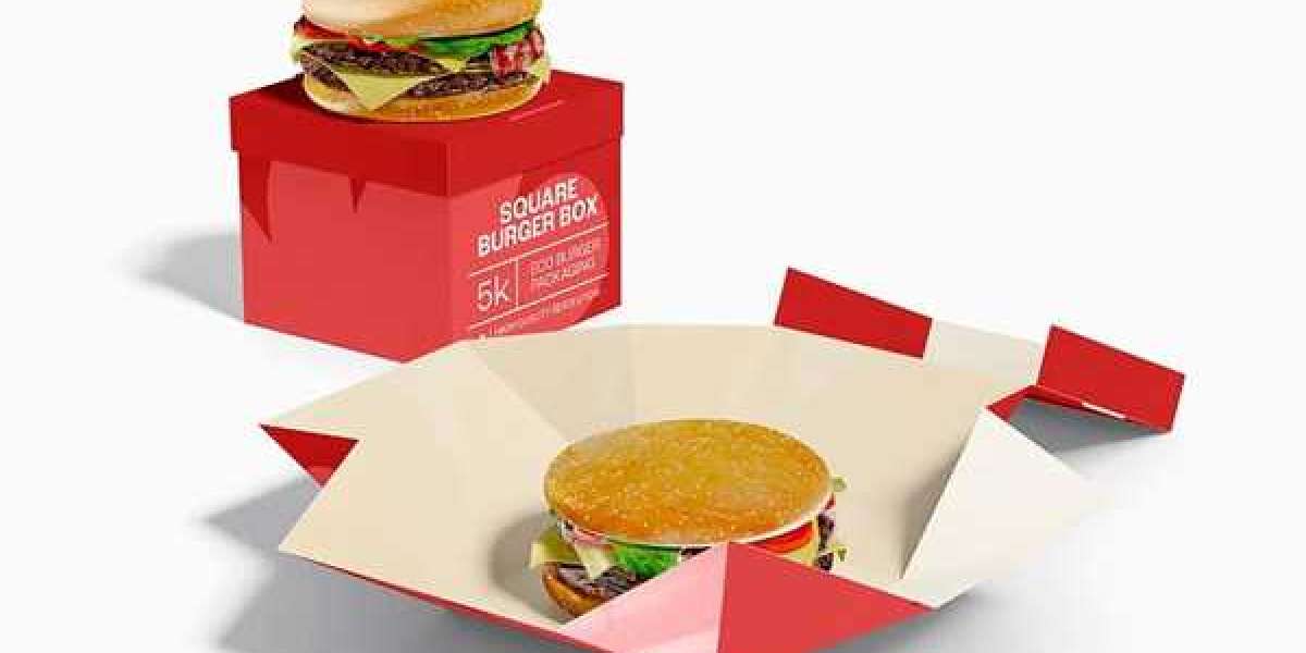 Everything You Need to Know About Custom Burger Boxes Wholesale