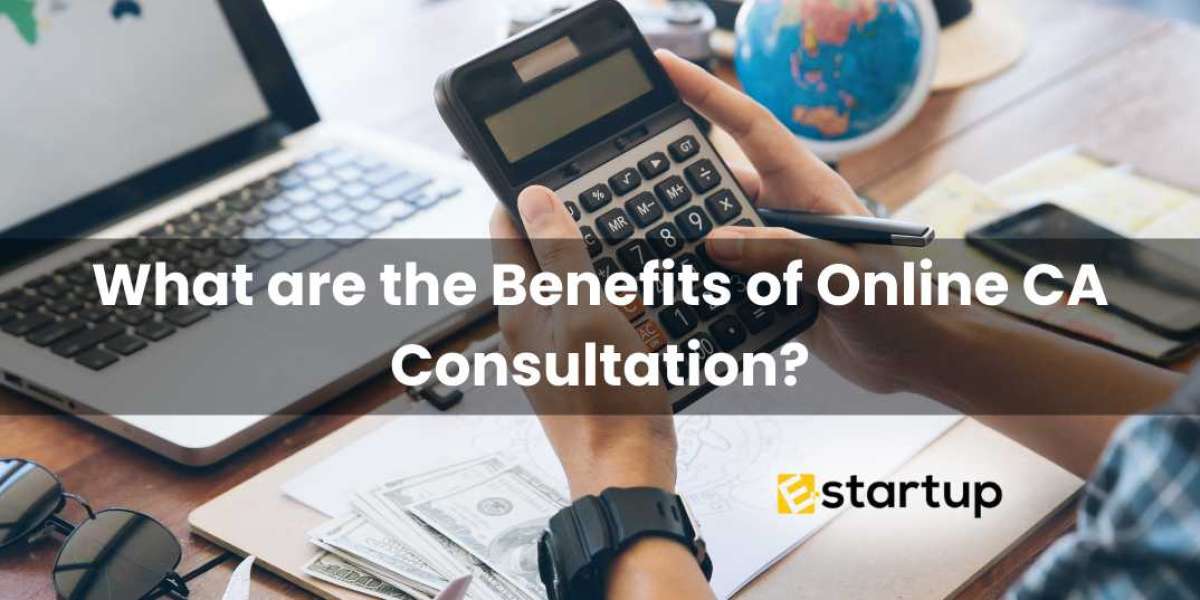 What are the Benefits of Online CA Consultation?