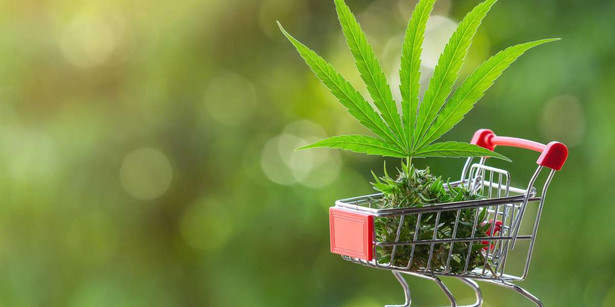 How to Choose the Best Weed Store London Ontario for Your Needs