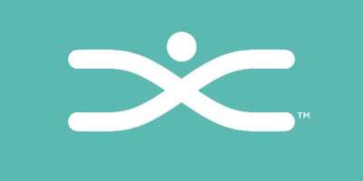 Chiropractor Indianapolis Indiana: Holistic Pain Relief and Wellness